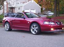 Mustang rims 8.JPG